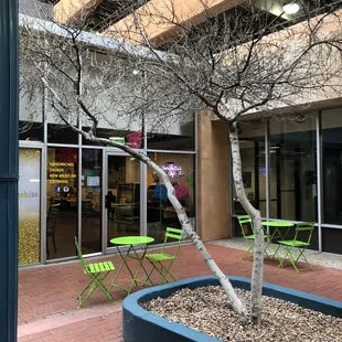 a tree in the courtyard