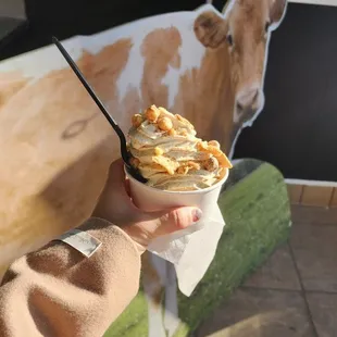 Reese puffs, captian toast crunch, Oregon cereal