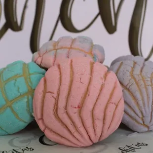 a group of conchitass