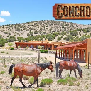 Beautiful Facilities