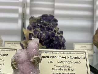 Mineralogical Museum