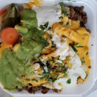 Bomb ass carna asada fries!