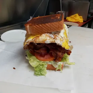 BLT with a egg