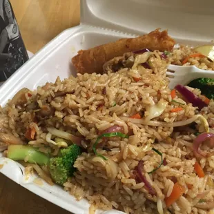 Chicken fried rice - a huge amount for $4