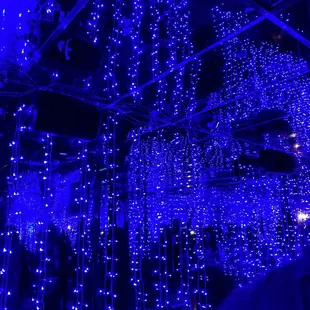 blue lights in the ceiling