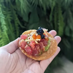 Ahi Tostadas