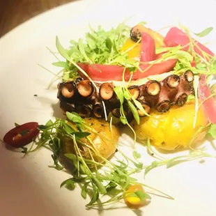 Pulpo Mexicano