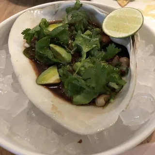 Surf Clam Ensenada