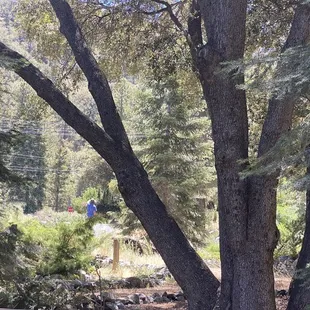 We love beautiful Pine Mountain Club :)