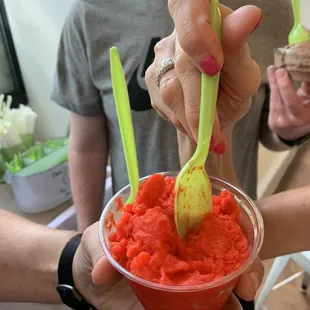 Blood orange sorbet