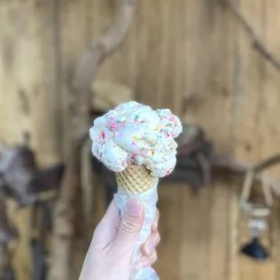 Sugar cookie