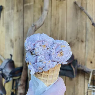 Blueberry Gingersnap