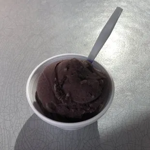 Grape Sorbet