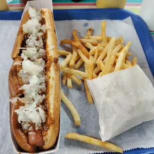 Chili onion dog with fries - very good