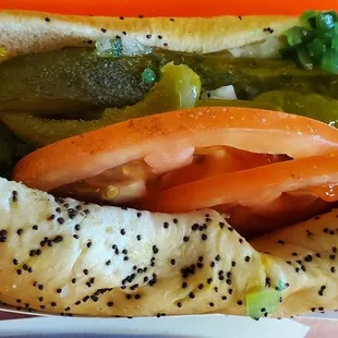 Traditional Chicago Dog FANTASTIC!