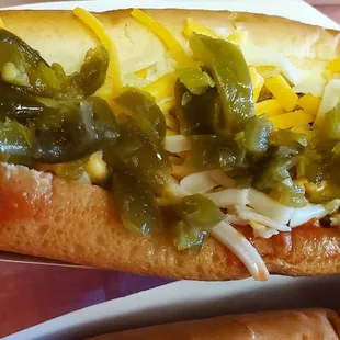 Taco Dog EXCELLENT!
