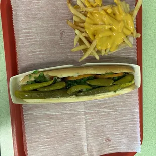 Chicago Dog