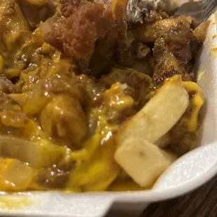 Raw French fries and barely cooked onions