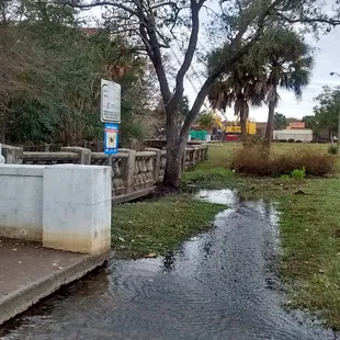 The park is clean.  The only thing that could be improved is in-front of the bridge where its leaking water.
