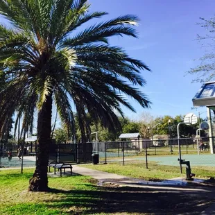 Water fountain with built in dog bowl.