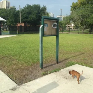 Small dog park (~2/3 the park in image)