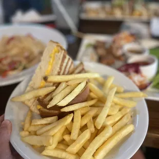 a plate of fries and a sandwich