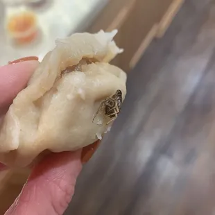 Bug on dumpling