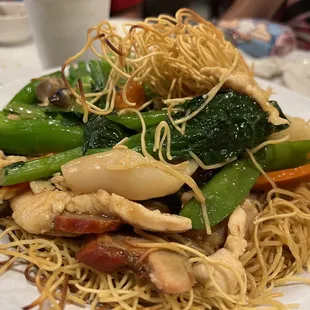 House Special Pan Fried Noodle