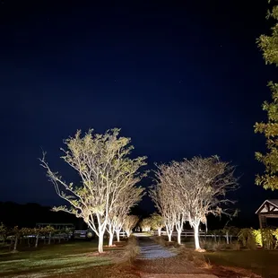 Beautiful views while dining al fresco.