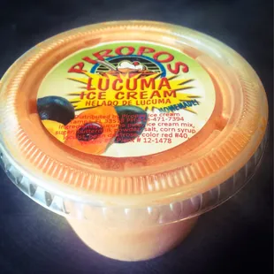 made in Tampa Peruvian ice cream (various flavors)