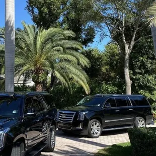 Cadillac Eschalade Fleet