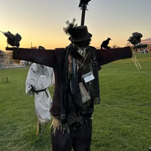 Scarecrow competition