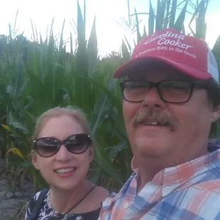 If only they had a talking horse Wiber!