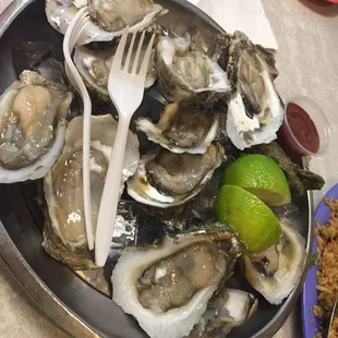 mussels, oysters, food, shellfish, oysters and mussels