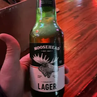 a hand holding a bottle of lager