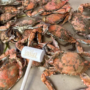 a pile of crabs