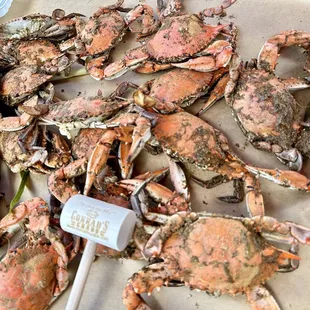a pile of cooked crabs