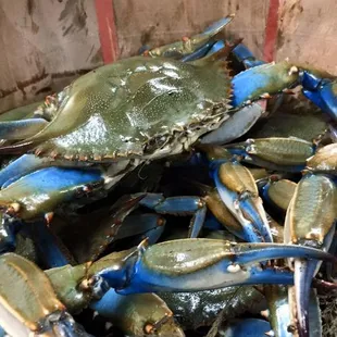 Conrad's Crabs & Seafood Market - Parkville