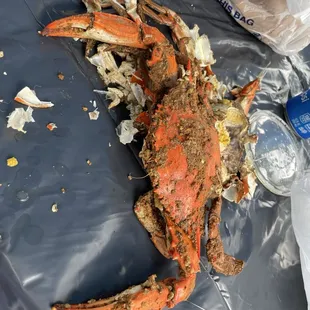 Crab Jumbo