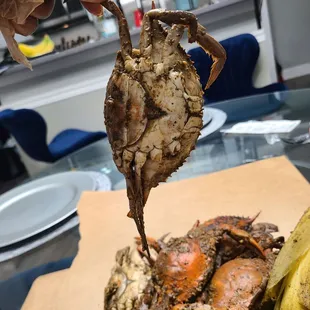 Crab