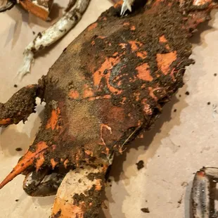 Crab