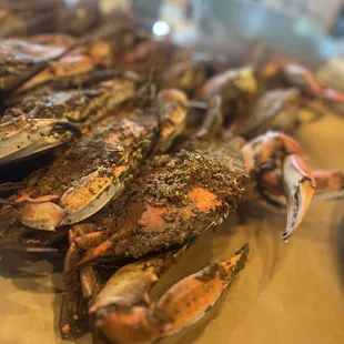 Conrad's Seafood Restaurant - Abingdon