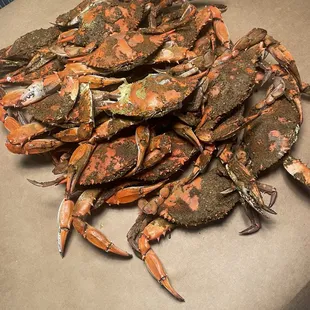 X-Large Crabs