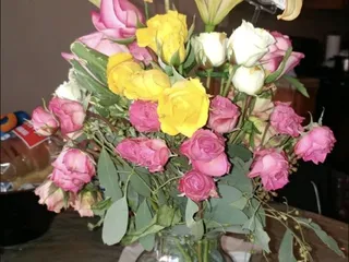 All My Love Fresh Flowers & Gifts