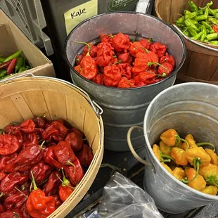 Spicy local peppers