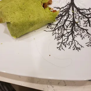 a burrito on a plate