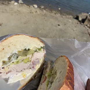 Took my fat sammie to the delta to fish