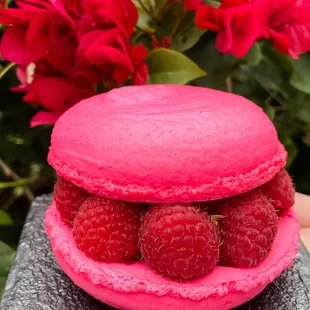 French Macaron