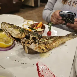 Grilled Sea Bass (Izgara Levrek) on a potato stand! Nice presentation!