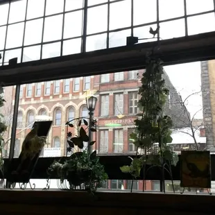Watching the snow fall from one of the many seats WITH outlets.